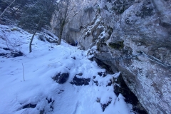 Peștera Șușman 19