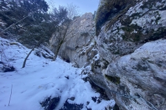 Peștera Șușman 21