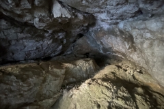 Peștera Șușman 42