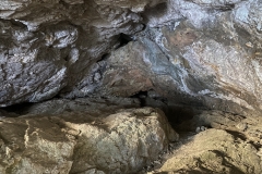 Peștera Șușman 43