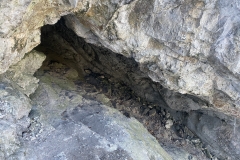 Peștera Șușman 46
