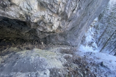 Peștera Șușman 49