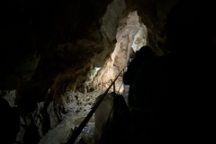 Peștera Urșilor, Chișcău 21