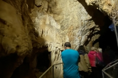 Peștera Urșilor, Chișcău 26