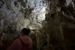 Peștera Urșilor, Chișcău 31