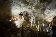 Peștera Urșilor, Chișcău 36