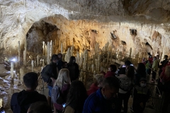 Peștera Urșilor, Chișcău 38