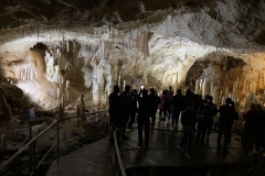 Peștera Urșilor, Chișcău 43