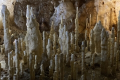 Peștera Urșilor, Chișcău 46