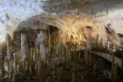 Peștera Urșilor, Chișcău 47