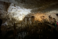 Peștera Urșilor, Chișcău 48
