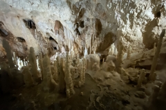 Peștera Urșilor, Chișcău 49