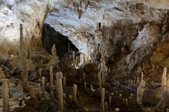 Peștera Urșilor, Chișcău 51