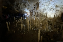 Peștera Urșilor, Chișcău 53