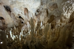 Peștera Urșilor, Chișcău 54