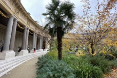 Petit Palais din Paris  123