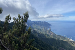 Pico de Chinobre, Tenerife 101