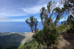 Pico de Chinobre, Tenerife 105