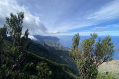 Pico de Chinobre, Tenerife 98
