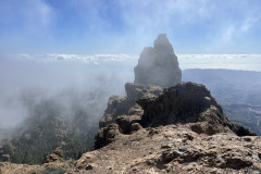Pico de los Pozos, Gran Canaria 15