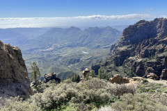 Pico de los Pozos, Gran Canaria 33