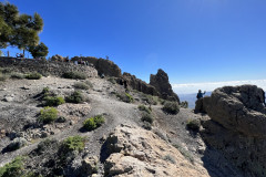 Pico de los Pozos, Gran Canaria 55