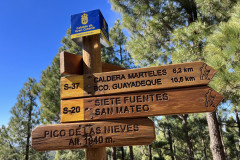 Pico de los Pozos, Gran Canaria 62