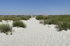 Plaja Corbu 2022 24