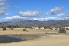 Plaja Maspalomas, Gran Canaria 14