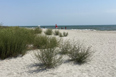 Plaja Midia 2022 24