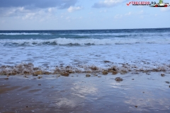 Plaja Ramla Gozo, Malta 28