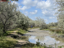 Plaja Sfântu Gheorghe 75