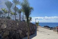 Playa de Ajabo, Tenerife 05