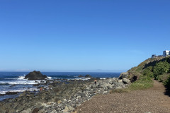 Playa de Benijo, Tenerife 63