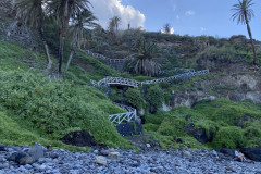 Playa de Castro, Tenerife 09