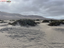 Playa de Famara Lanzarote 24