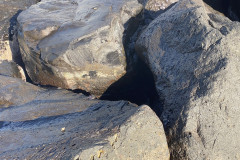 Playa de Fañabé, Tenerife 18