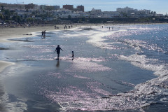 Playa de Fañabé, Tenerife 30