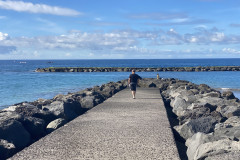 Playa de Fañabé, Tenerife 36