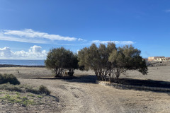 Playa de la Jaquita, Tenerife 02