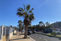 Playa de la Jaquita, Tenerife 43