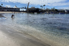 Playa de la Pinta, Tenerife 14