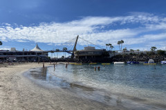 Playa de la Pinta, Tenerife 19