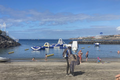 Playa de la Pinta, Tenerife 31