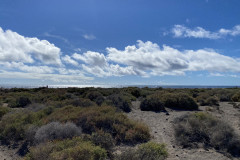 Playa de la Tejita, Tenerife 06