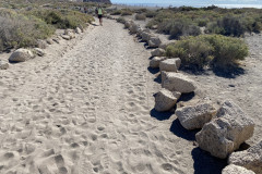 Playa de la Tejita, Tenerife 07