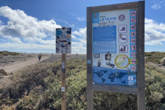 Playa de la Tejita, Tenerife 08