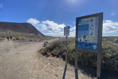 Playa de la Tejita, Tenerife 09