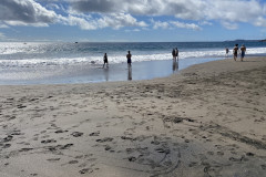 Playa de la Tejita, Tenerife 28