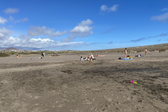 Playa de la Tejita, Tenerife 30